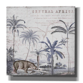 'Hippo Adventure' by Andrea Haase Giclee Canvas Wall Art