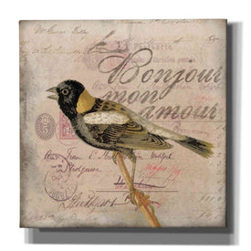 'Bonjour Mon Amour' by Andrea Haase Giclee Canvas Wall Art