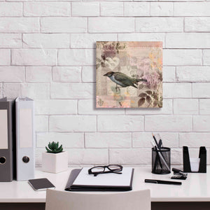 'Nostalgic Bird Collage' by Andrea Haase Giclee Canvas Wall Art,12 x 12