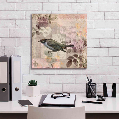 Image of 'Nostalgic Bird Collage' by Andrea Haase Giclee Canvas Wall Art,18 x 18