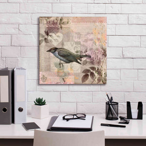 'Nostalgic Bird Collage' by Andrea Haase Giclee Canvas Wall Art,18 x 18