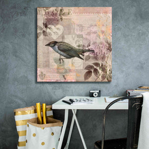 'Nostalgic Bird Collage' by Andrea Haase Giclee Canvas Wall Art,26 x 26