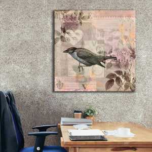 'Nostalgic Bird Collage' by Andrea Haase Giclee Canvas Wall Art,37 x 37