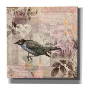 'Nostalgic Bird Collage' by Andrea Haase Giclee Canvas Wall Art