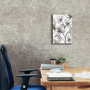 'Monochrome Flowers III' by Flora Kouta Giclee Canvas Wall Art,12 x 18