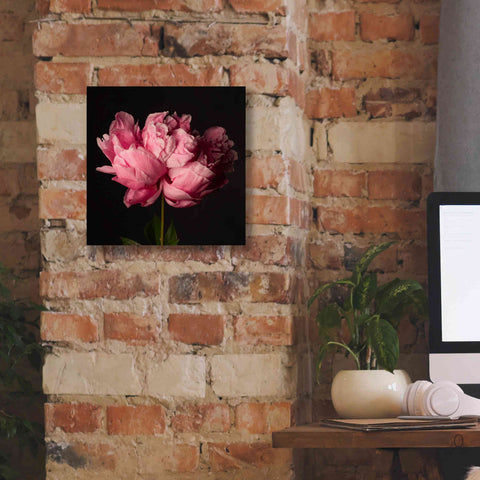 Image of 'Perfect Peony' by Leah McLean Giclee Canvas Wall Art,12 x 12