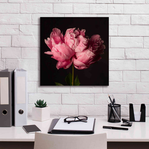 Image of 'Perfect Peony' by Leah McLean Giclee Canvas Wall Art,18 x 18