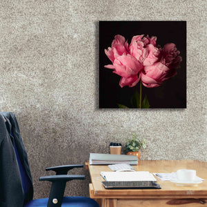 'Perfect Peony' by Leah McLean Giclee Canvas Wall Art,26 x 26