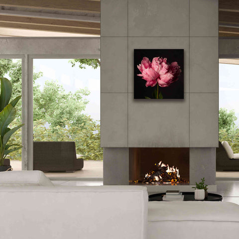 Image of 'Perfect Peony' by Leah McLean Giclee Canvas Wall Art,26 x 26