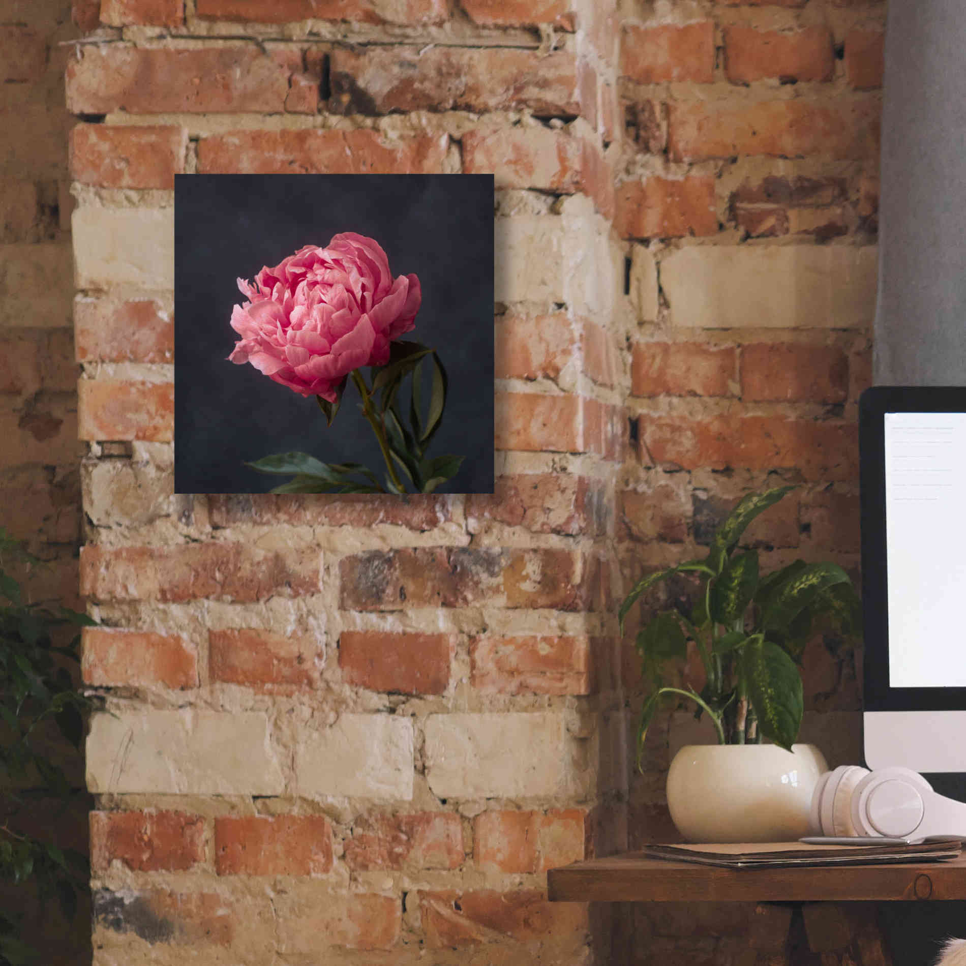 'Perfectly Pink' by Leah McLean Giclee Canvas Wall Art,12 x 12
