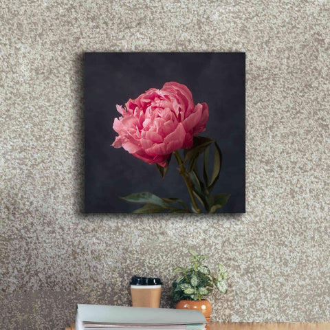 Image of 'Perfectly Pink' by Leah McLean Giclee Canvas Wall Art,18 x 18