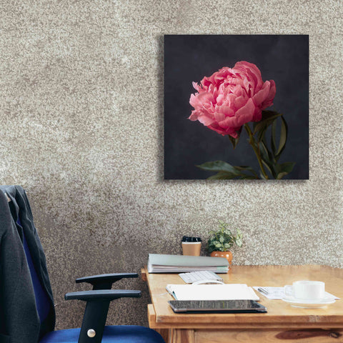 Image of 'Perfectly Pink' by Leah McLean Giclee Canvas Wall Art,26 x 26