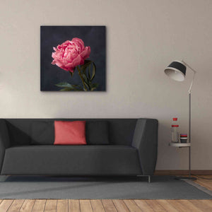 'Perfectly Pink' by Leah McLean Giclee Canvas Wall Art,37 x 37