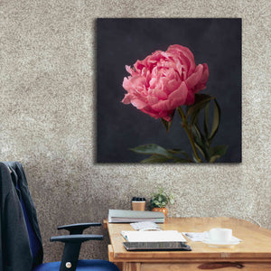 'Perfectly Pink' by Leah McLean Giclee Canvas Wall Art,37 x 37