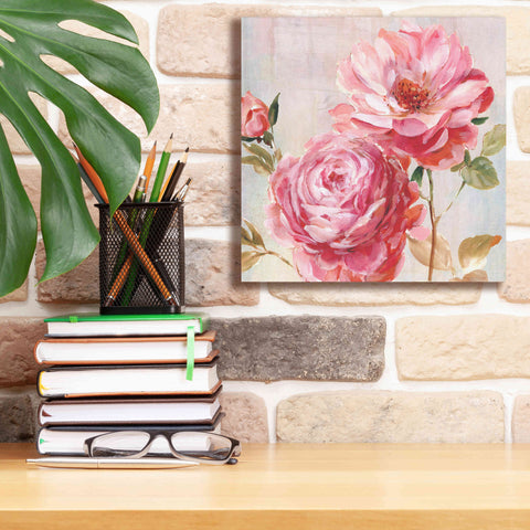 Image of 'Petal Paint 2' by Karen Smith Giclee Canvas Wall Art,12x12