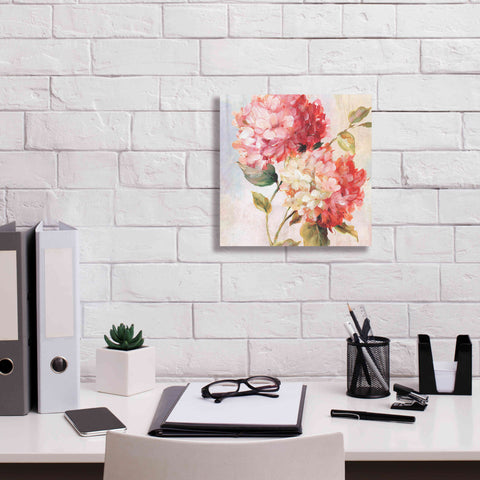 Image of 'Petal Paint 1' by Karen Smith Giclee Canvas Wall Art,12x12