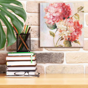 'Petal Paint 1' by Karen Smith Giclee Canvas Wall Art,12x12