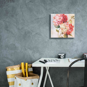 'Petal Paint 1' by Karen Smith Giclee Canvas Wall Art,12x12