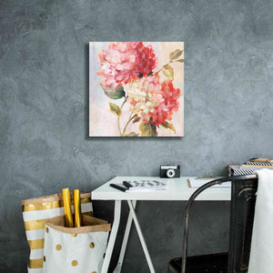 'Petal Paint 1' by Karen Smith Giclee Canvas Wall Art,18x18