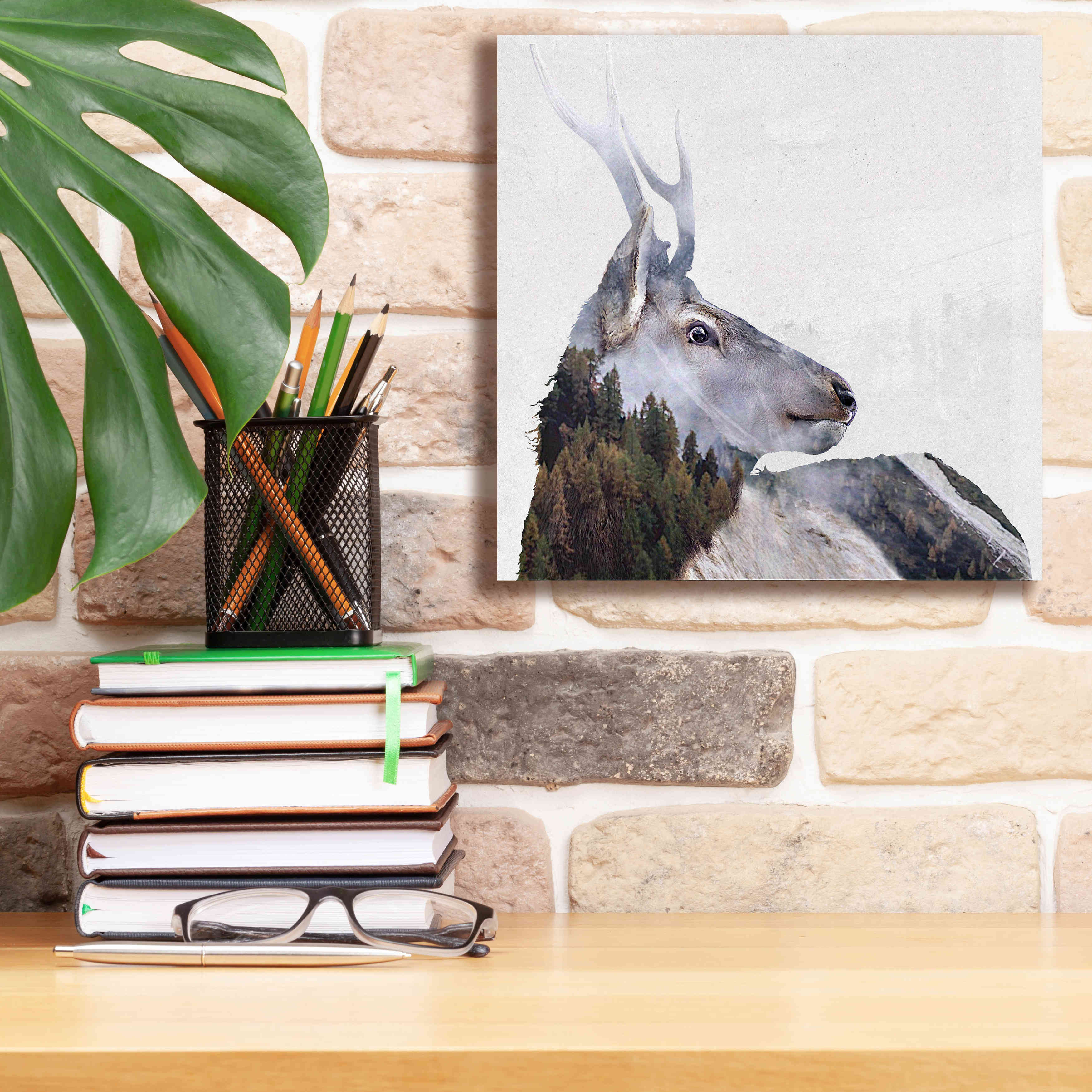 'Alpine Stag' by Karen Smith Giclee Canvas Wall Art,12x12