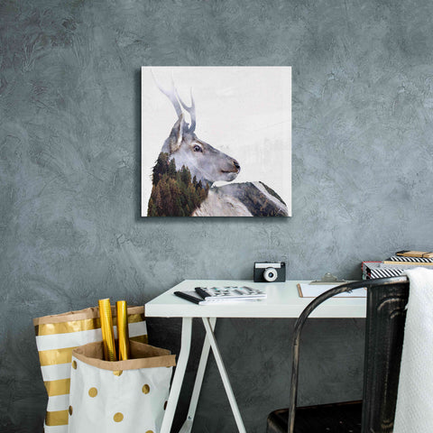 Image of 'Alpine Stag' by Karen Smith Giclee Canvas Wall Art,18x18