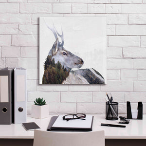 'Alpine Stag' by Karen Smith Giclee Canvas Wall Art,18x18