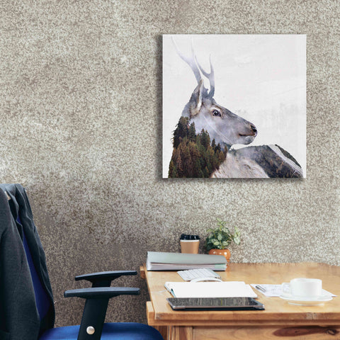 Image of 'Alpine Stag' by Karen Smith Giclee Canvas Wall Art,26x26