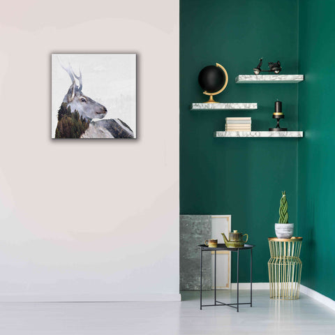 Image of 'Alpine Stag' by Karen Smith Giclee Canvas Wall Art,26x26