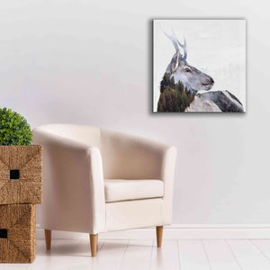 'Alpine Stag' by Karen Smith Giclee Canvas Wall Art,26x26