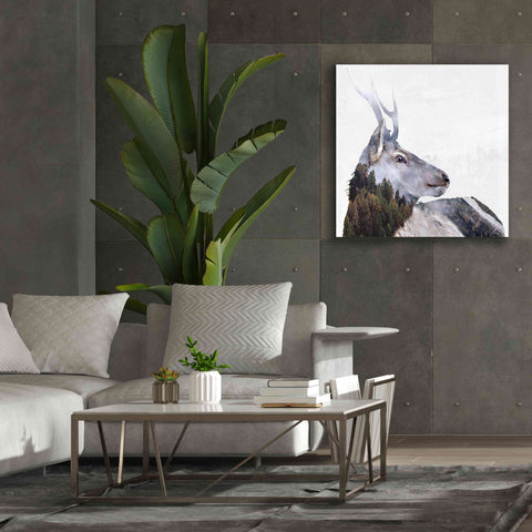 Image of 'Alpine Stag' by Karen Smith Giclee Canvas Wall Art,37x37