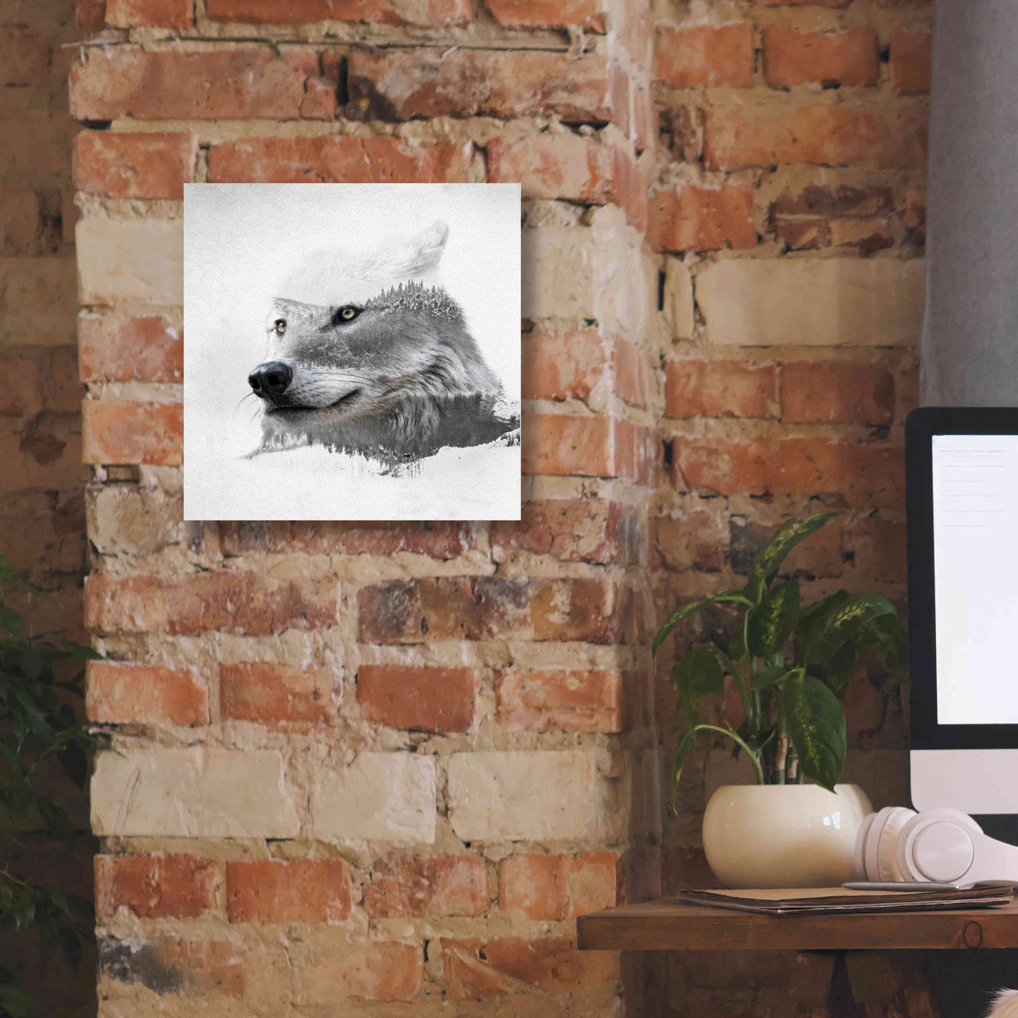 'Wolf In Ice' by Karen Smith Giclee Canvas Wall Art,12x12