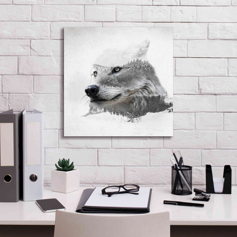Image of 'Wolf In Ice' by Karen Smith Giclee Canvas Wall Art,18x18