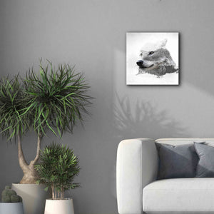'Wolf In Ice' by Karen Smith Giclee Canvas Wall Art,18x18