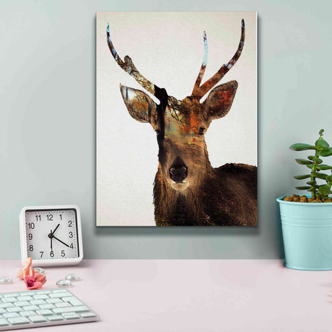 Image of 'Stag Forest' by Karen Smith Giclee Canvas Wall Art,12x16