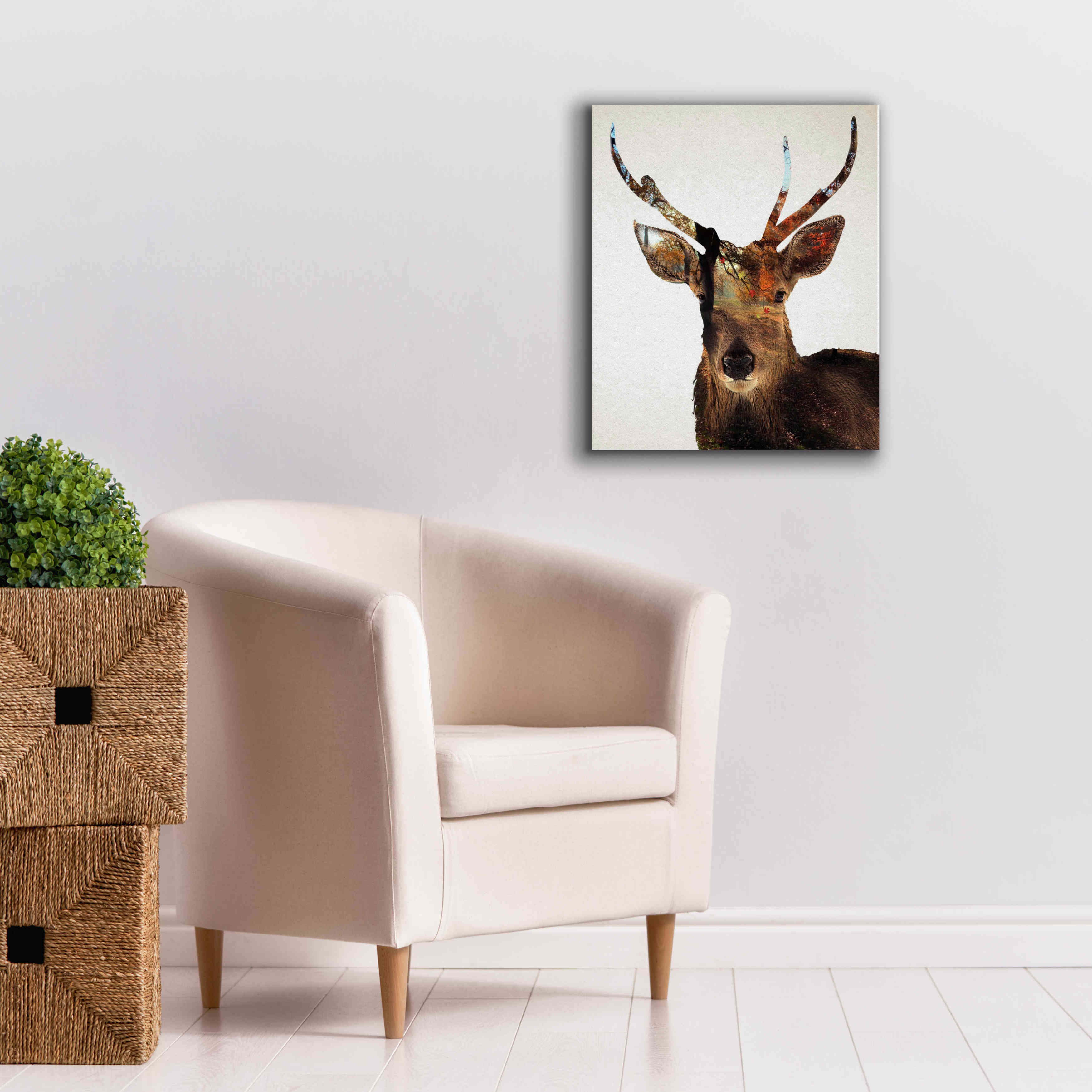 'Stag Forest' by Karen Smith Giclee Canvas Wall Art,20x24