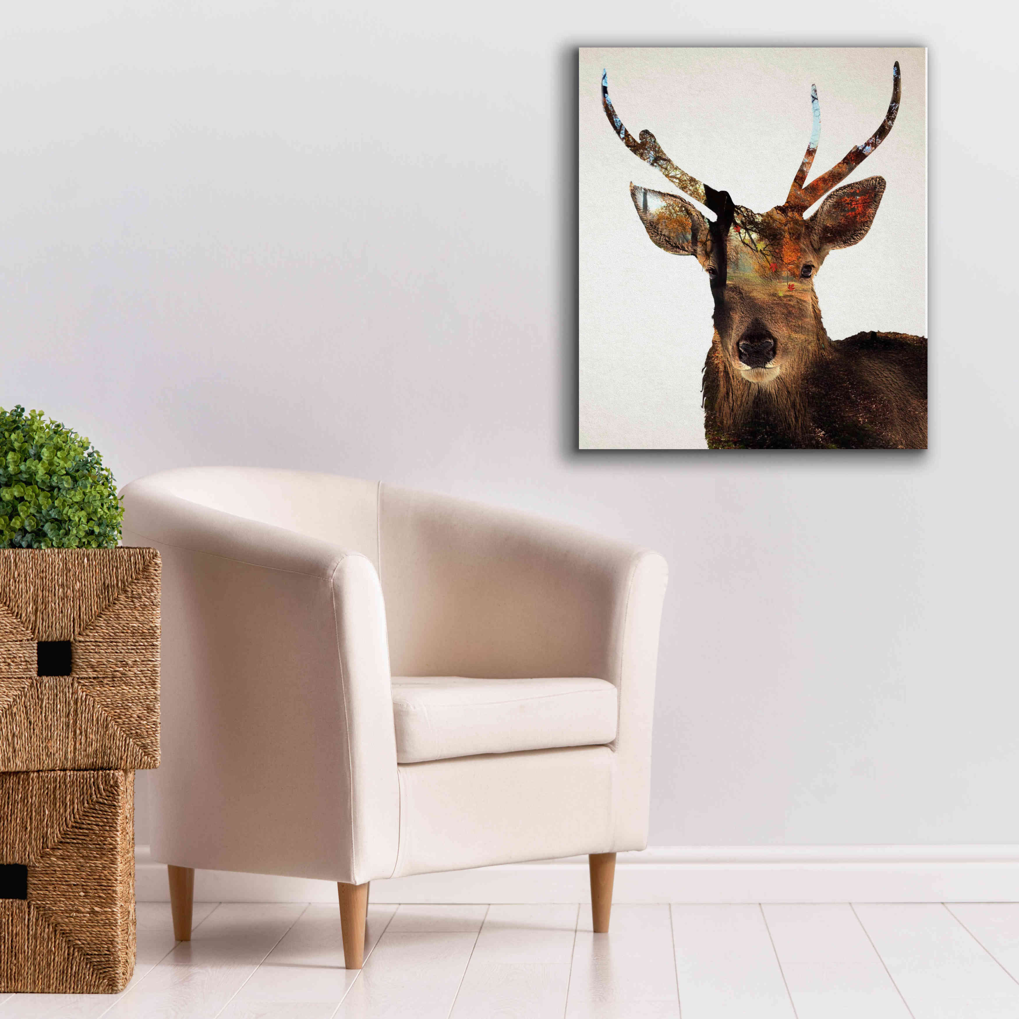 'Stag Forest' by Karen Smith Giclee Canvas Wall Art,26x30