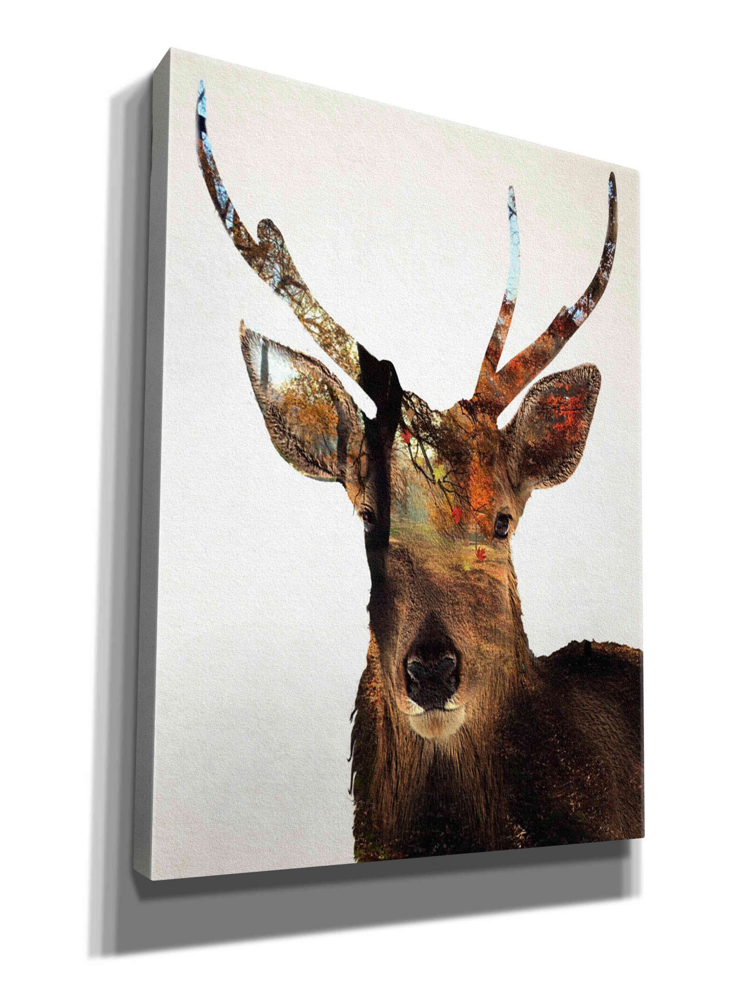 'Stag Forest' by Karen Smith Giclee Canvas Wall Art