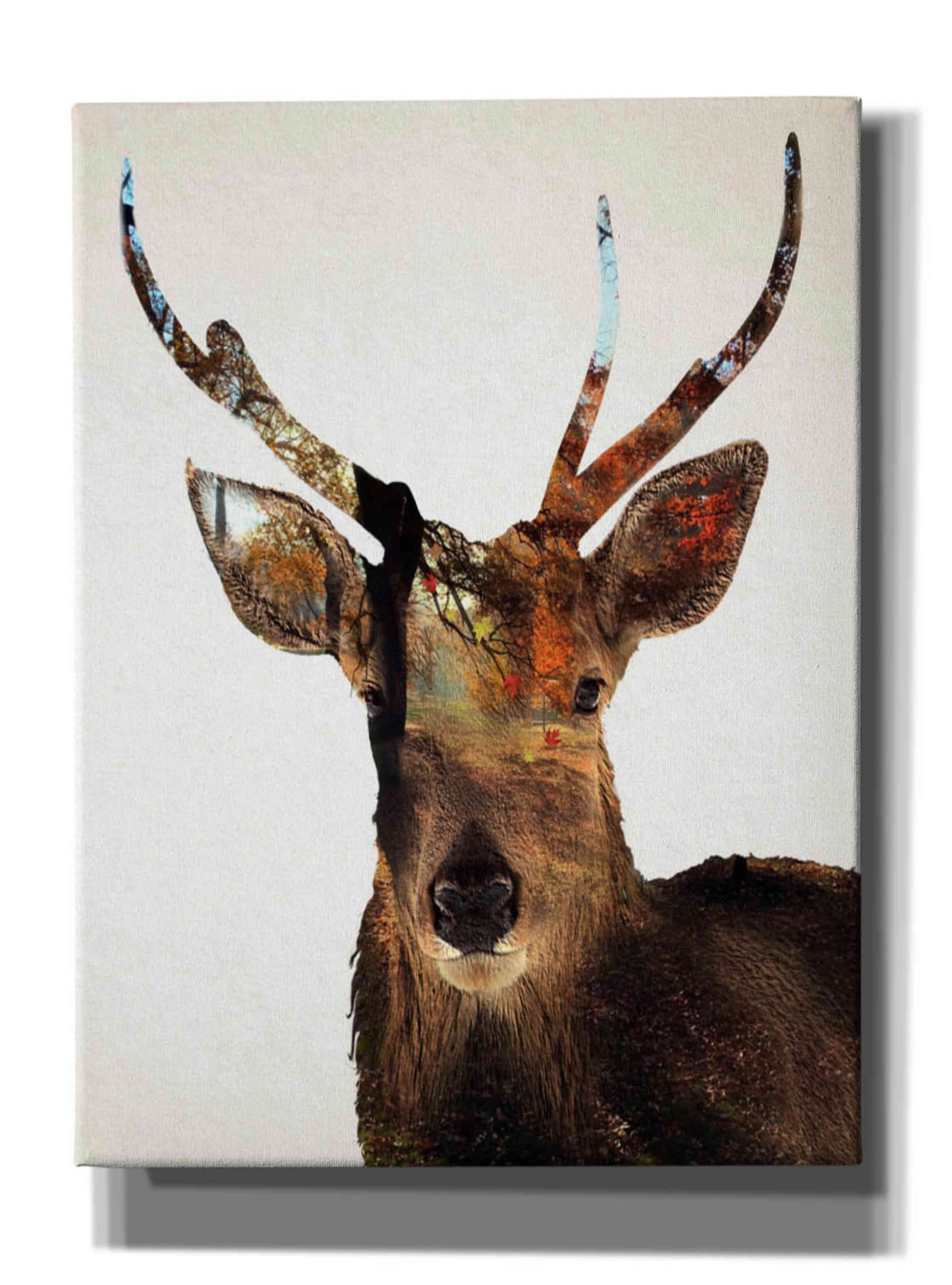 'Stag Forest' by Karen Smith Giclee Canvas Wall Art