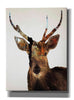 'Stag Forest' by Karen Smith Giclee Canvas Wall Art