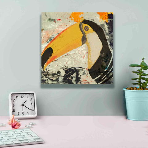 Image of 'Toucan Play 1' by Karen Smith Giclee Canvas Wall Art,12x12