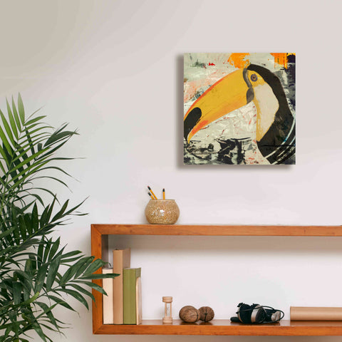 Image of 'Toucan Play 1' by Karen Smith Giclee Canvas Wall Art,12x12