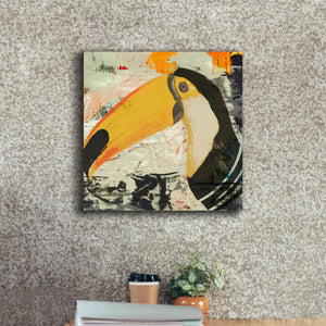 'Toucan Play 1' by Karen Smith Giclee Canvas Wall Art,18x18