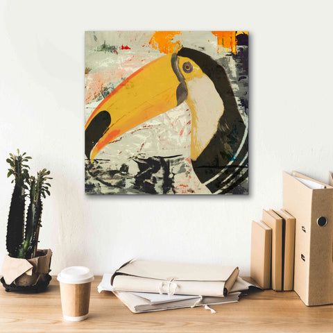 Image of 'Toucan Play 1' by Karen Smith Giclee Canvas Wall Art,18x18