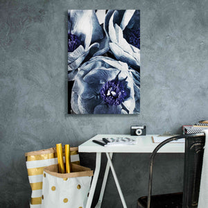 'Peony Blue Petals 3' by Ashley Aldridge Giclee Canvas Wall Art,18 x 26