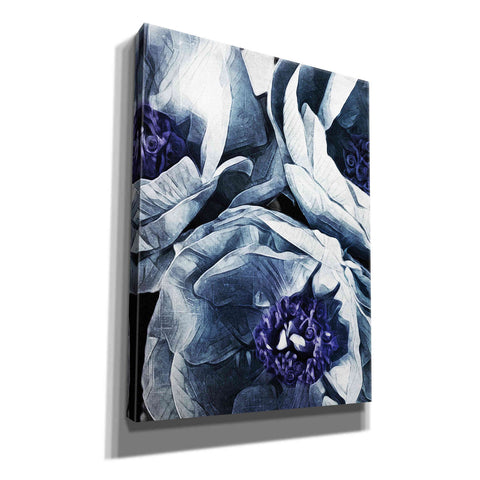 Image of 'Peony Blue Petals 3' by Ashley Aldridge Giclee Canvas Wall Art