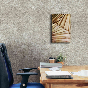 'Natural Dried Palms 1' by Ashley Aldridge Giclee Canvas Wall Art,12 x 18