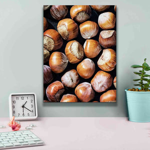'Fruit Of The Hazel 1' by Ashley Aldridge Giclee Canvas Wall Art,12 x 16