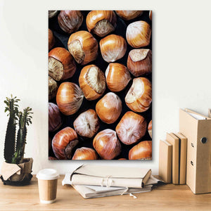 'Fruit Of The Hazel 1' by Ashley Aldridge Giclee Canvas Wall Art,18 x 26