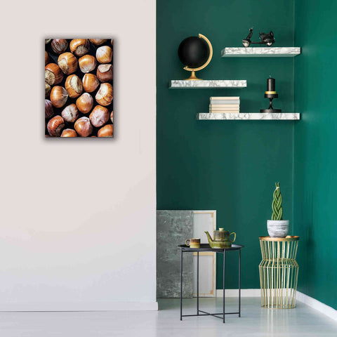 Image of 'Fruit Of The Hazel 1' by Ashley Aldridge Giclee Canvas Wall Art,18 x 26