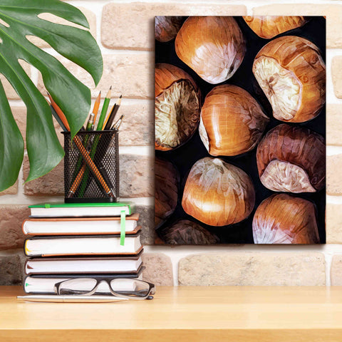 Image of 'Fruit Of The Hazel 2' by Ashley Aldridge Giclee Canvas Wall Art,12 x 16